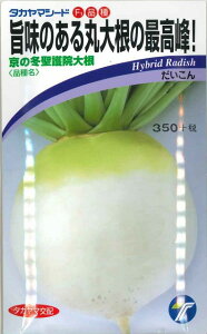 卪 ̓~@卪 8ml i300jij^J}V[h