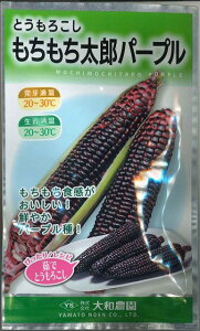 Ƃ낱 Yp[v 20ml(70) ija_