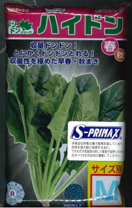 ق񂻂 nCh qTCYM 3 ()TJ^̃^l