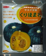 かぼちゃ くりほまれ 500粒 (株)サカタのタネ [種子/野菜]