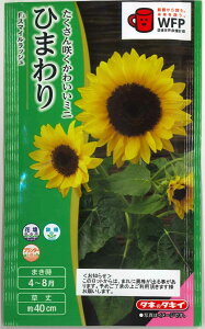 Ԃ̎ Ђ܂ X}CbV (20) ^LCc()