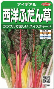 XCX`[h ACfA 30 ()TJ^̃^l 350i002963j