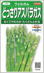 AXpKX EFJ 20 ()TJ^̃^l 450i003040j