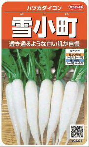 卪 ͂ Ꮼ 525 ()TJ^̃^l 250i003097j