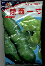 そら豆 陵西一寸 230粒 ヴィルモランみかど（株）