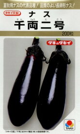 なす 千両二号 200粒 タキイ種苗(株) [種子/野菜]