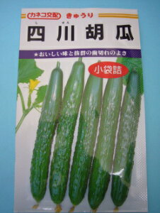 ���イ�� �l��ӉZ 12�� �J�l�R��c�i���j [��q/���]