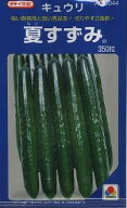 きゅうり 夏すずみ350粒 タキイ種苗(株) [種子/野菜]