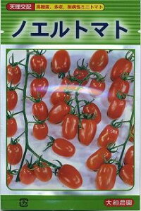 �~�j�g�}�g �m�G���g�}�g 18�� �i���j��a�_�� [��q/���]