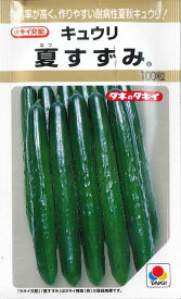 きゅうり夏すずみ100粒　タキイ種苗（株）