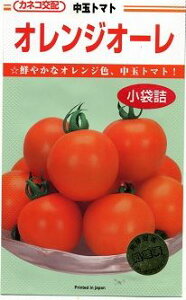 ʃg}g IWI[ 13 JlRcij