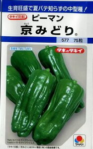 s[} ݂ǂ 65 ^LCc()DF