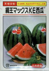 XCJ ȉ}bNXKEZ 200 ija_