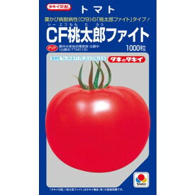 大玉トマト　CF桃太郎ファイト　1000粒　タキイ種苗（株）
