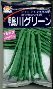 いんげん 鴨川グリーン 1L ヴィルモランみかど(株)