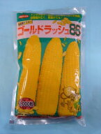 とうもろこし ゴールドラッシュ86 2000粒 (株)サカタのタネ [種子/野菜]