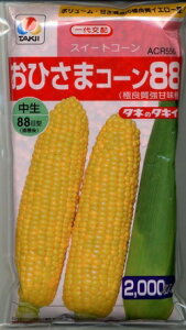 �Ƃ����낱�� ���Ђ��܃R�[��88 2000�� �^�L�C��c(��) [��q/���]