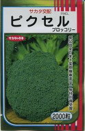 ブロッコリー ピクセル 2000粒 (株)サカタのタネ [種子/野菜]