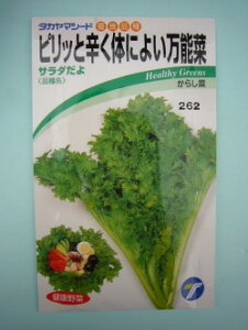 sbƐĥɂ悢\ T_ 5ml ij^J}V[h