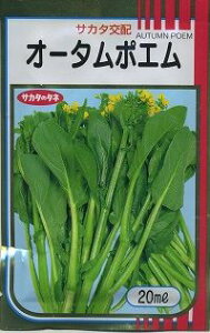 I[^|G 20ml ()TJ^̃^l