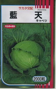 Lxc V 2000 ()TJ^̃^l