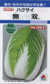 白菜無双　2.5mlタキイ交配