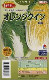 楽天市場 オレンジ 白菜の通販
