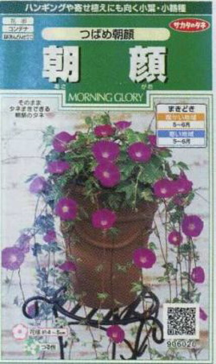 楽天市場 花の種 朝顔 つばめ朝顔 約16粒サカタのタネ グリーンロフトネモト