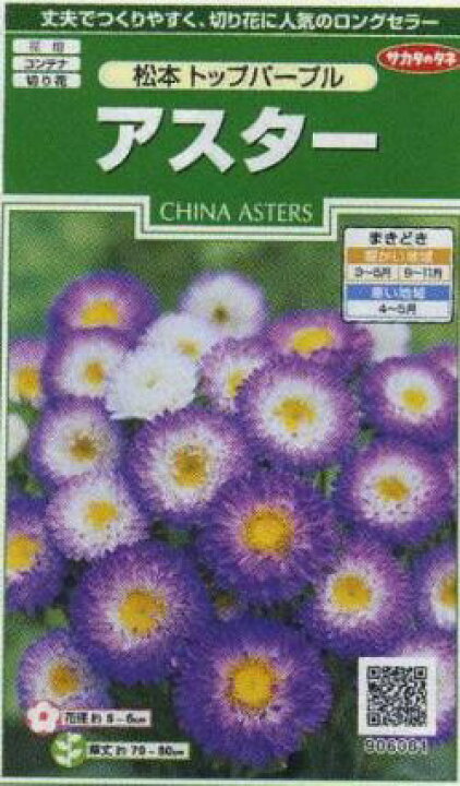 楽天市場 花の種 アスター 松本トップパープル 約186粒 サカタのタネ グリーンロフトネモト