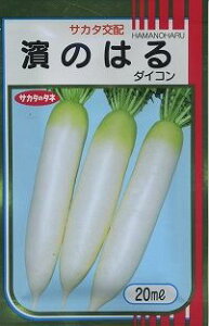 卪 _̂͂ 20ml ()TJ^̃^l