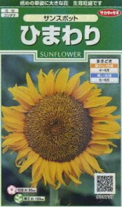 Ԃ̎ Ђ܂ TX|bg 13 ()TJ^̃^l i026275j