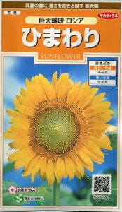 Ԃ̎ Ђ܂ ֍ VA 20 ()TJ^̃^l i026349j