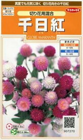 花の種 千日紅切り花用混合　約45粒（株）サカタのタネ