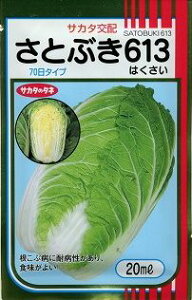 ���� ���ƂԂ�613 20ml (��)�T�J�^�̃^�l [��q/���]