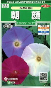 Ԃ̎  mn 14 ()TJ^̃^l i026200j