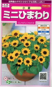 Ԃ̎ ~jЂ܂  20 ()TJ^̃^l i026151j