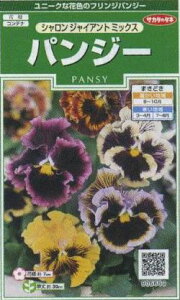 Ԃ̎ pW[ VWCAg~bNX 34 ()TJ^̃^l i026267j