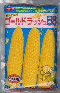 とうもろこし ゴールドラッシュ88 2000粒 (株)サカタのタネ [種子/野菜]