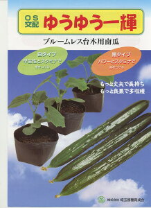  (イp)OSz䂤䂤P() 20 ijʌ琬
