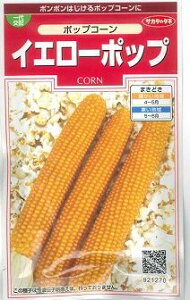 Ƃ낱 |bvR[ CG[|bv 75 ()TJ^̃^l 350i002892j