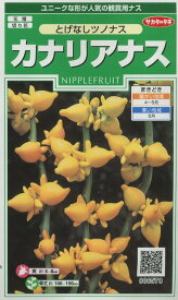 花の種　カナリアナス（とげなしつのなす）約39粒　（株）サカタのタネ