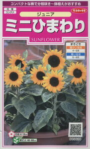 Ԃ̎ ~jЂ܂ WjA 15 ()TJ^̃^l i026150j