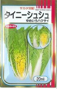  ^Cj[VV 20ml ()TJ^̃^l