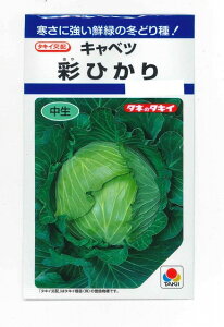 Lxc ʂЂ 1.2ml(140) ^LCc() DF
