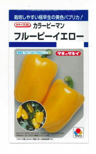 s[} J[s[} t[s[CG[ 27 ^LCc()DF