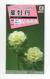 楽天市場 葉牡丹 種の通販