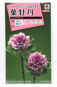 切り花 種の人気商品 通販 価格比較 価格 Com