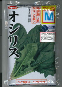 ق񂻂 IVX qTCYM 3ijTJ^̃^l