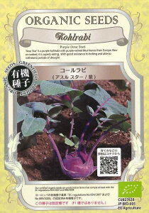 L@qR[rAXX^[/Œ0.4g(80)ijO[tB[hvWFNg