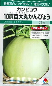 JsE 10іڑۂ҂傤 22 ^LCc()GF